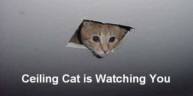 vl_business/ceilingcat.jpg