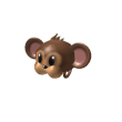 Funny Monkey