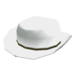 White Cowboy Hat