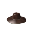 Big Brimmed Brown Hat