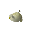 Mr. Quackers