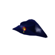 Napoleon's Hat
