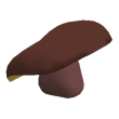 Mushroom Hat