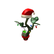 Festive Plant