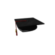 2013 Graduation Cap