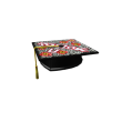 Blox U Grad Cap 2013