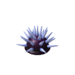Toxic Urchin