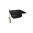 2009 Graduation Cap