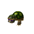 Crazy Turtle Friend