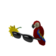 Good Time Glasses