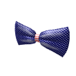 Red, White, and Bow Tie