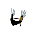 Blackvalk