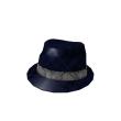 Silver Snake Fedora
