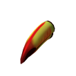 Toucan Beak