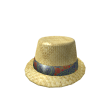 Summer Breeze Straw Cap