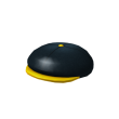 Yellow Billed Flat Cap