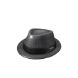 ROBLOX Gray Pinstripe Fedora