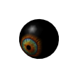 All Seer