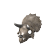 Triceratops