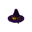 Halloween Witch Hat