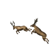 Flying Reindeer