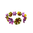 Lei
