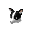 Collie Head