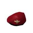 1st Battalion Red Devils Beret