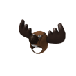 Bull Moose Party Constituent