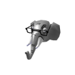 Dr. Elephant