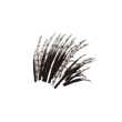 Quill Coif