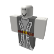 Grey Wizard Robes