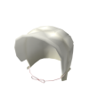Pilgrim Bonnet