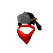 Lady Ninja