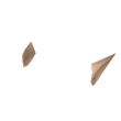 Elf Ears