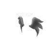 empyrean wings