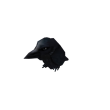 The Raven