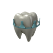 Tooth Fairy
