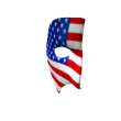 Masked Patriot