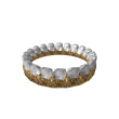 Bling Crown of Grilled Gums