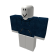 Denim Hoodie