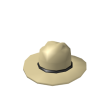 Dark Stetson