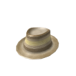 Panama Hat