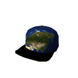 ): Earth Flip