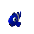 Blue Clown Fish
