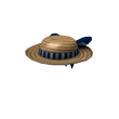 Lady's Picnic Hat