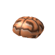 Brain