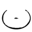 Fat Belly v2