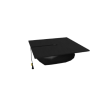 2010 Graduation Cap