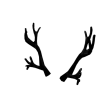 Black Antlers